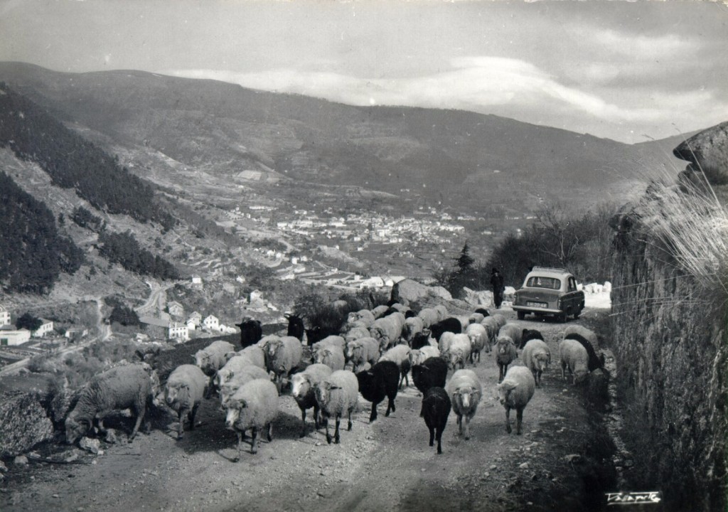 Vista-sobre-Manteigas-da-Estrada-com-rebanho-em-marcha