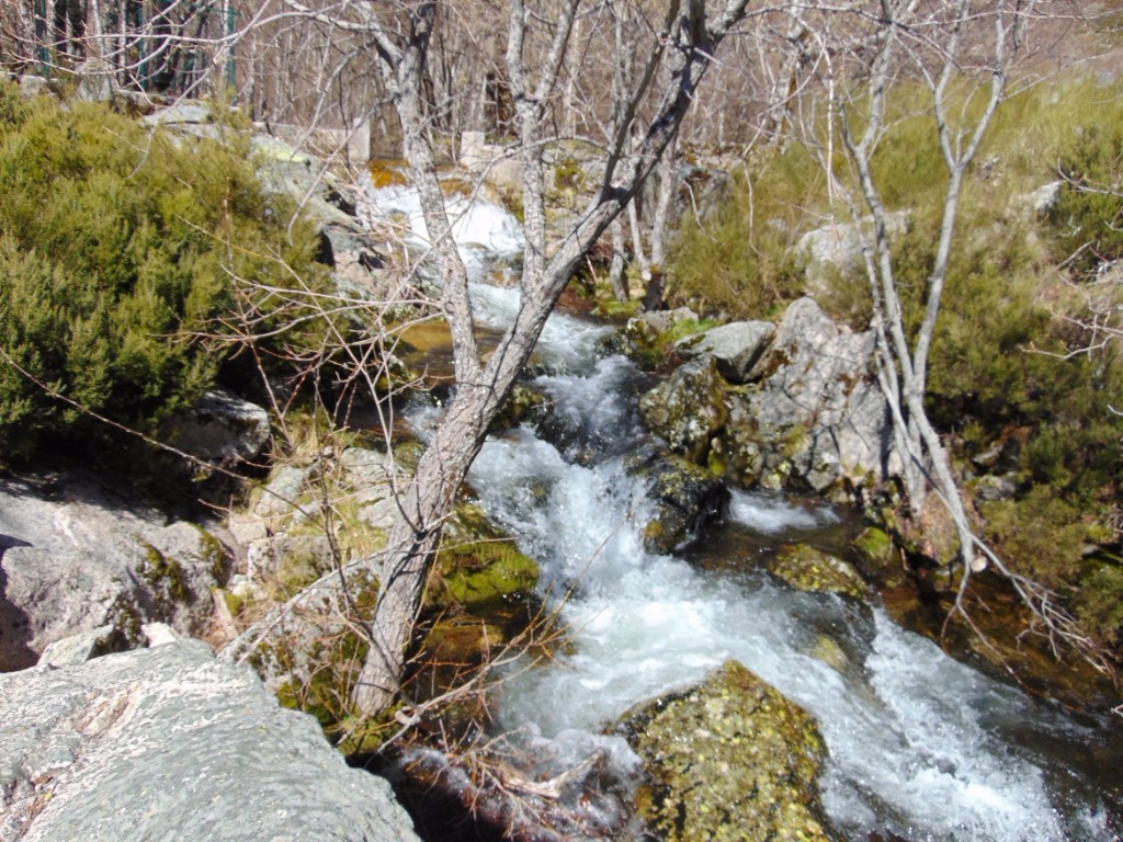 Covão-da-ametade-01